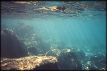 snork 4b